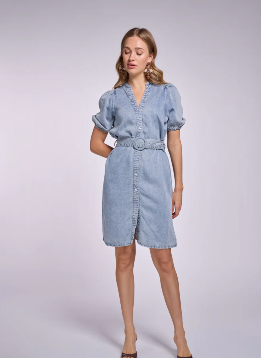 Dael Tencel Dress Freebird